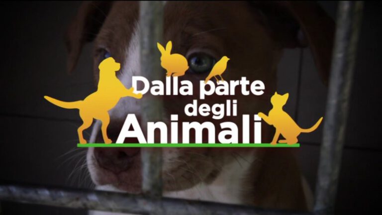 dalla-parte-degli-animali